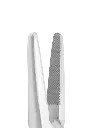 520-518_Tip.webp