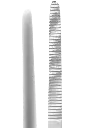 120-180_Tip.webp