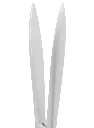 405-426_Tip.webp