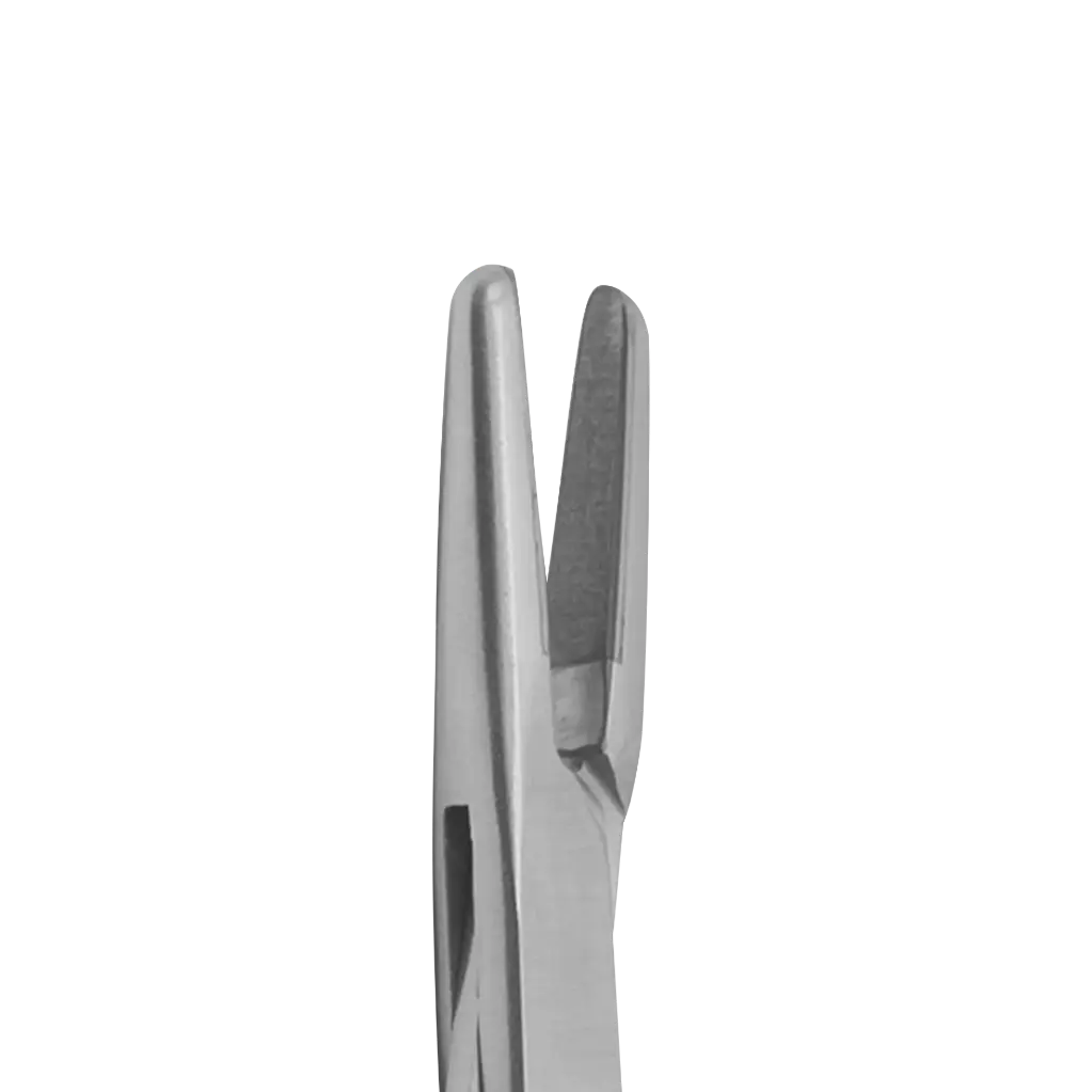 Webster Needle Holder (TC)