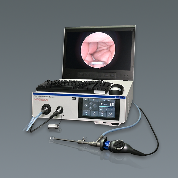 Endoscopic Camera System