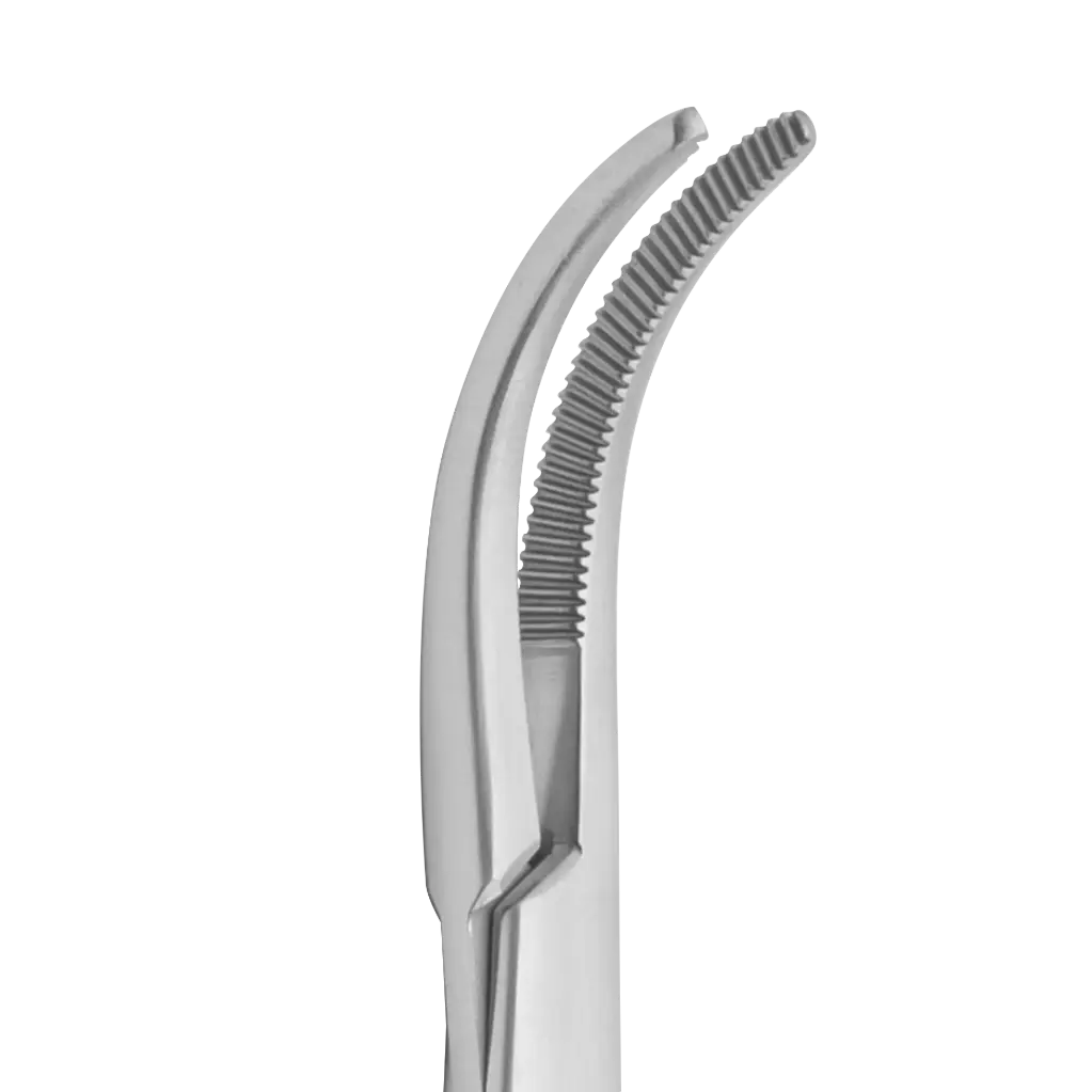 Adson Hemostatic Forceps