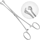 Babcock Forceps