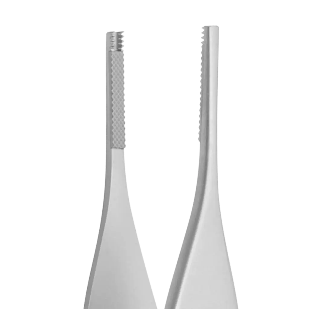 Adson-Brown Tissue Forceps (TC)