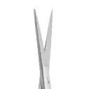 Iris Scissors