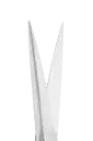 Iris Scissors (TC)