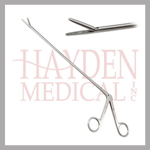 [200-143-10] Baron Alligator Forceps 10"