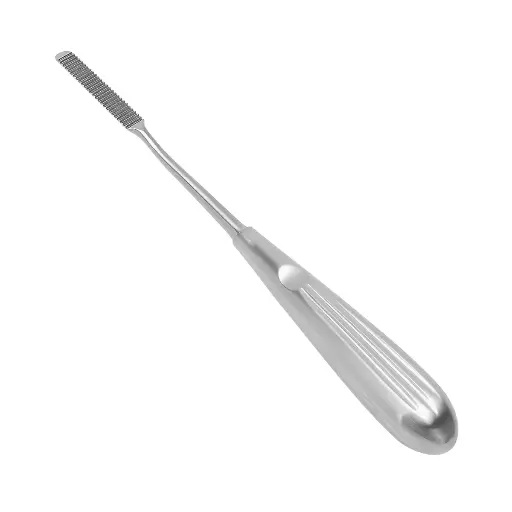 [210-340] Cottle Nasal Rasp