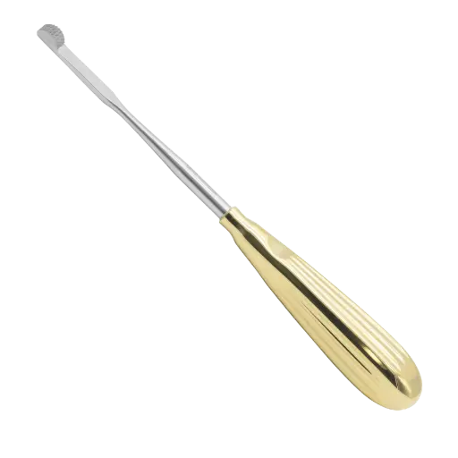 [210-374] Glabella Rasp 