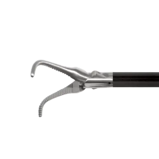 Dissecting Strong Curved Forceps