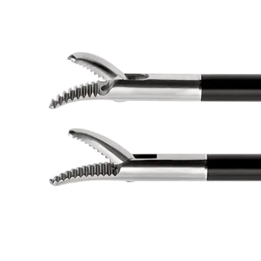 Dissecting Forceps