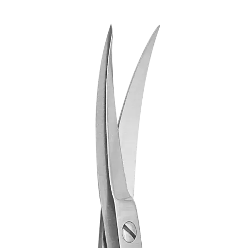 Iris Scissors (TC)