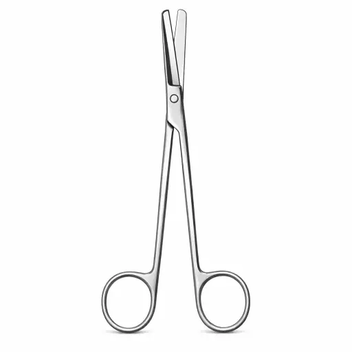 Sims Scissors