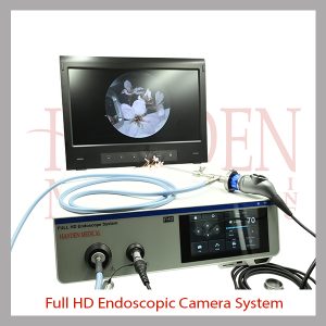 All-in-one HD Endoscopic Camera